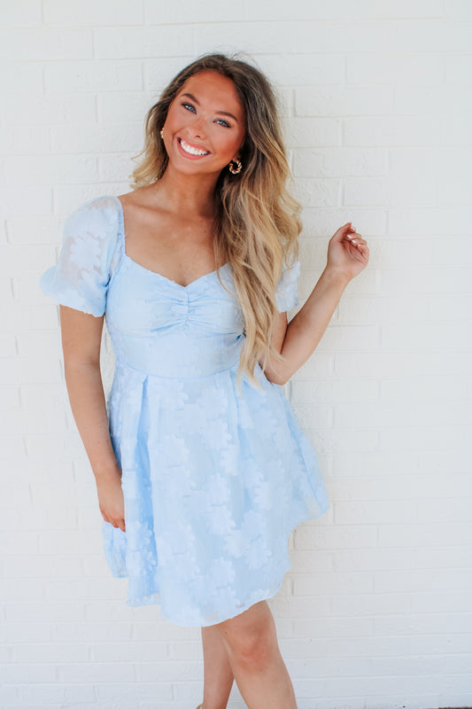 Floral Jacquard Mini Dress - Light Blue