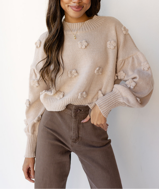 Lainey Pom-Pom Sweater